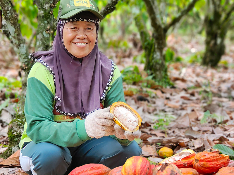 Advancing Sustainable Commodity Systems: A Global Compendium of Producer and Consumer Country Case Studies